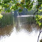 kleiner See im Vogelsberg