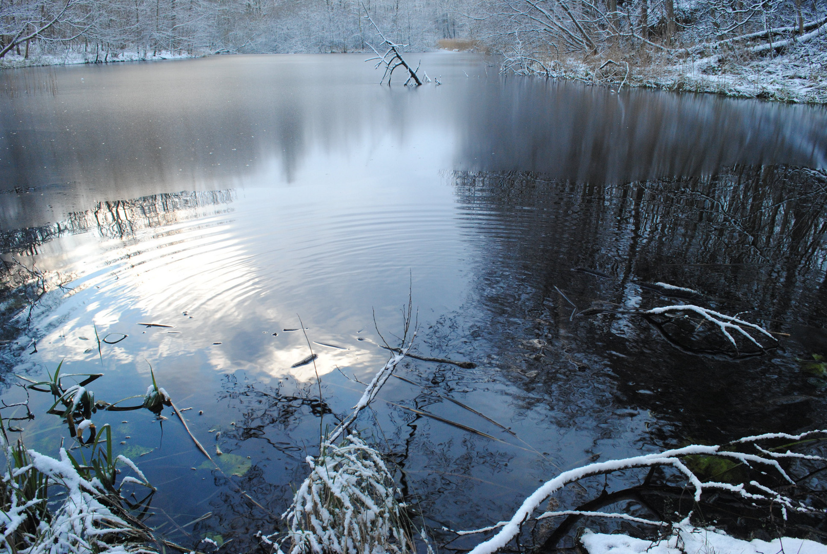 Kleiner See im Wald