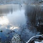 Kleiner See im Wald