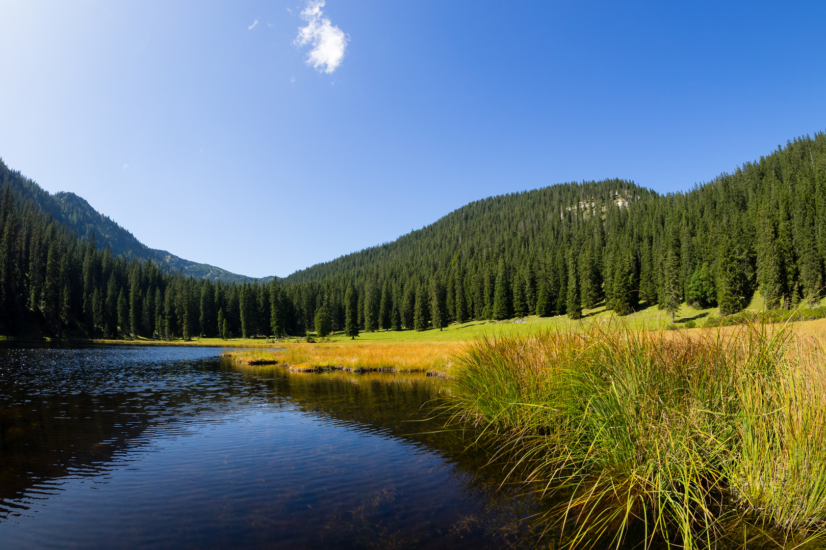 kleiner See im Wallgau