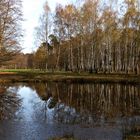 kleiner See in der alten Fasanerie Hanau