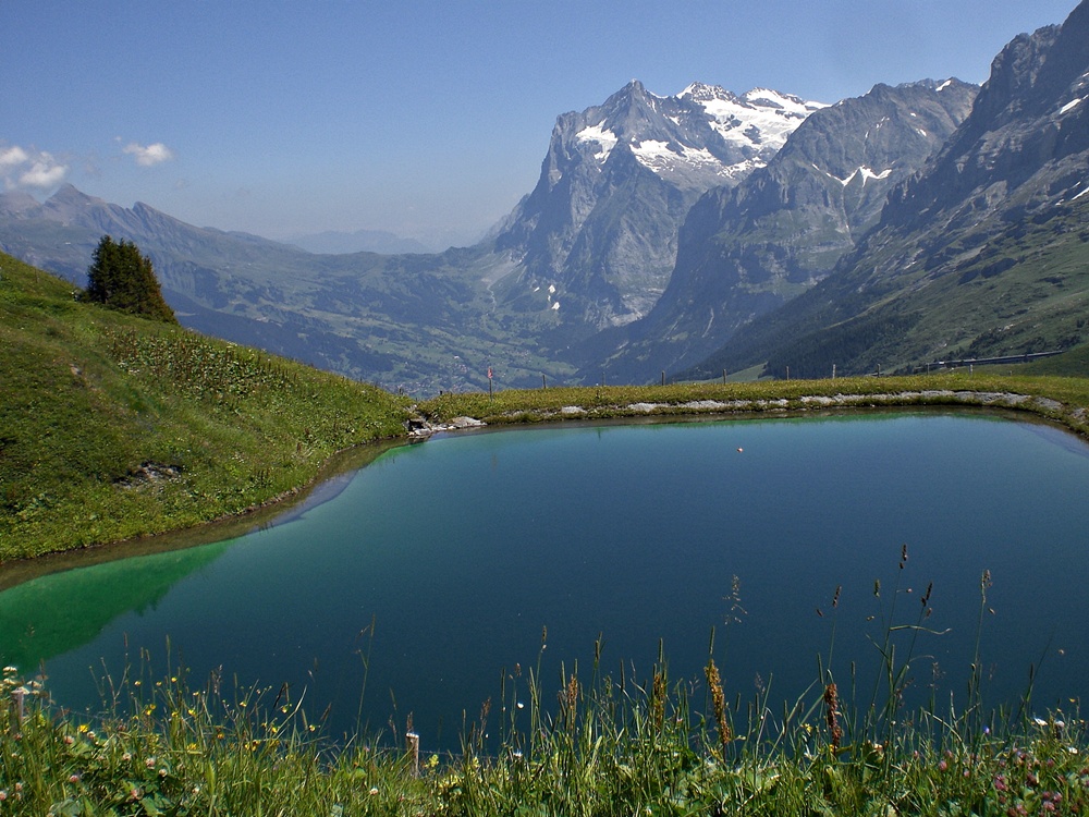 Kleiner See in der Jungfrauregion (Schweiz)