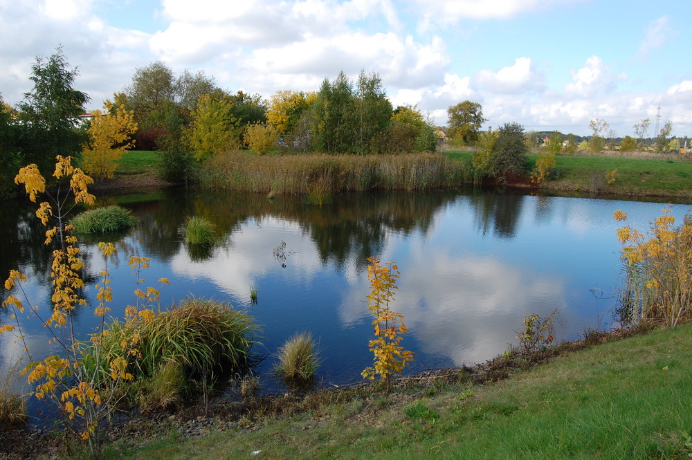 Kleiner See in Märkisch-Oderland