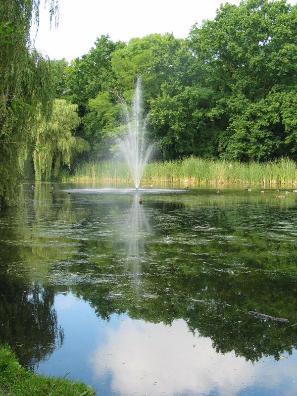 kleiner See in Oegstgeest