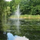 kleiner See in Oegstgeest