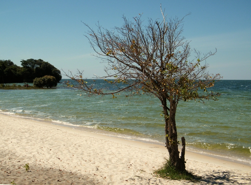 kleiner See in Sambia