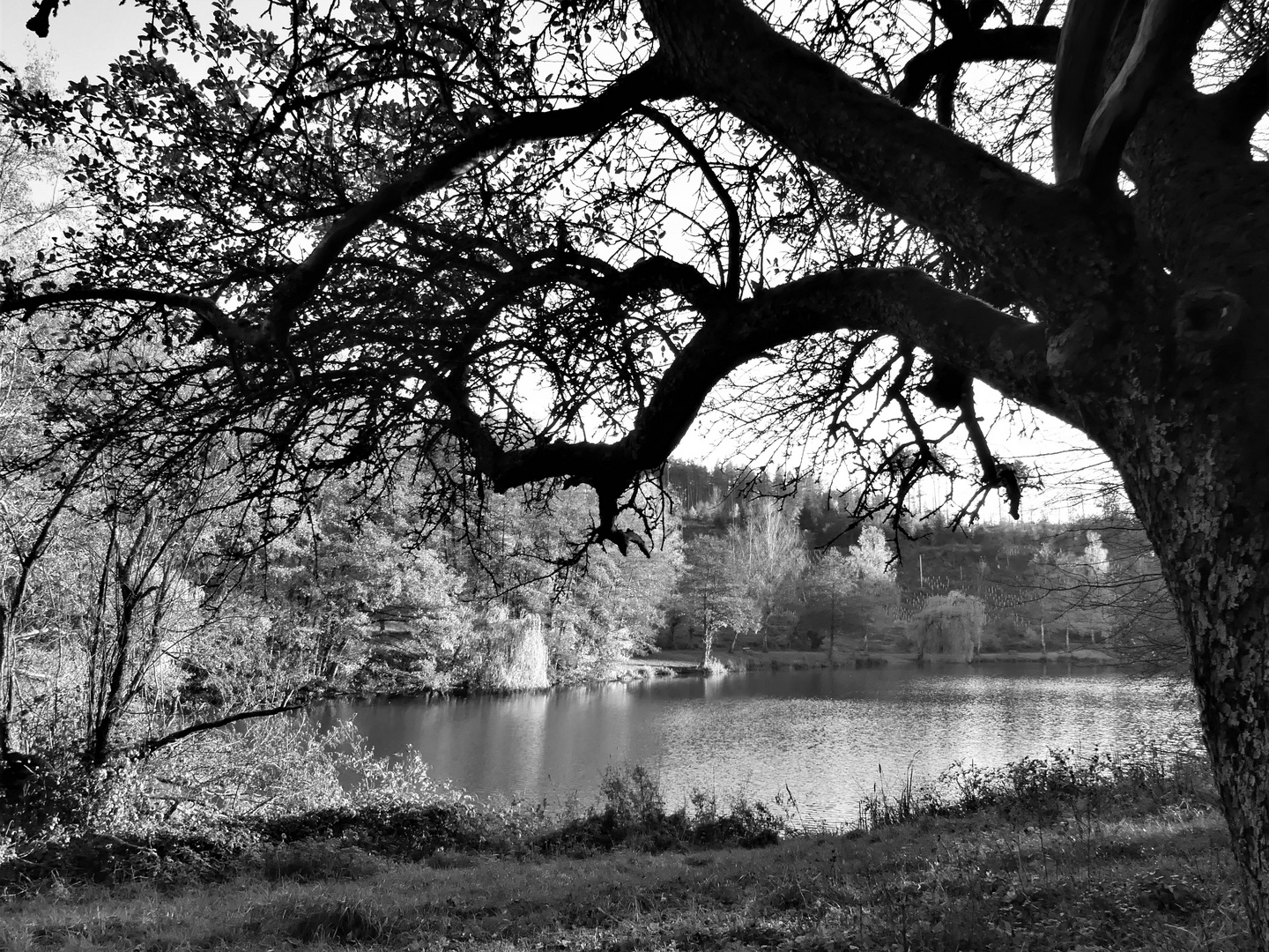 kleiner See mit großer Wirkung