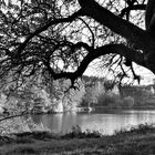 kleiner See mit großer Wirkung