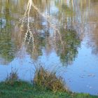 Kleiner See mit Spiegelungen