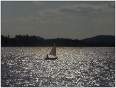 Kleiner Segler im guten Wind