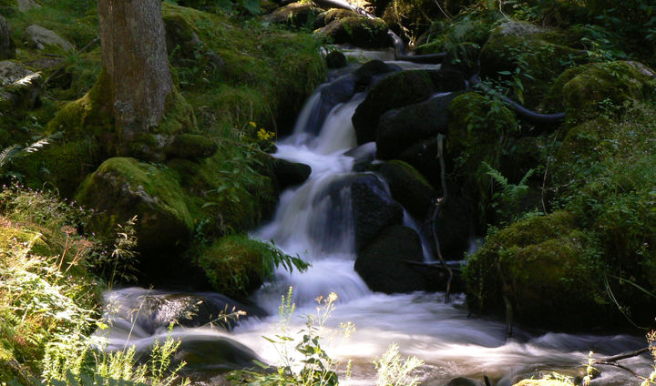 Kleiner Seiteneinlauf der Triberger Wasserfälle