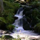 Kleiner Seiteneinlauf der Triberger Wasserfälle