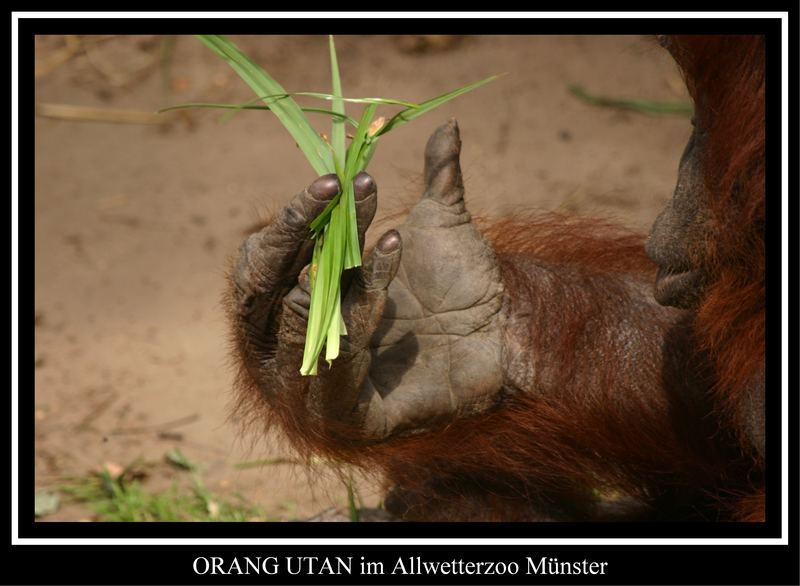 ..... kleiner Snack am Rande