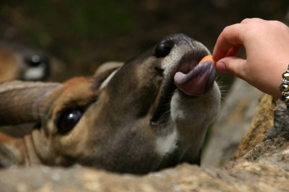 kleiner Snack (Teil 1)