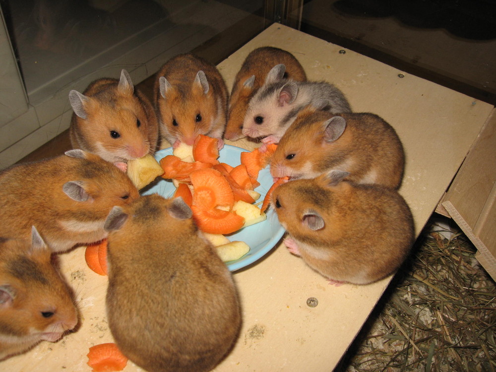 Kleiner Snack zwischendurch!