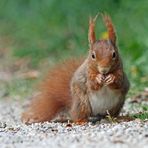 kleiner Snack zwischendurch