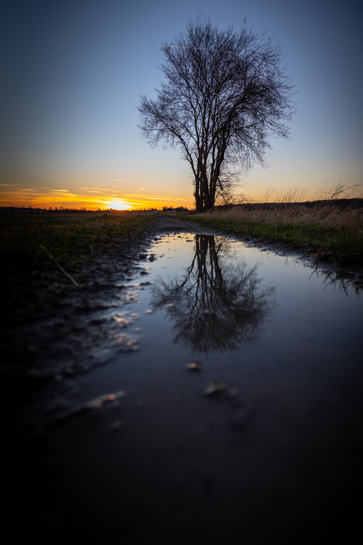 Kleiner Sonnenuntergang