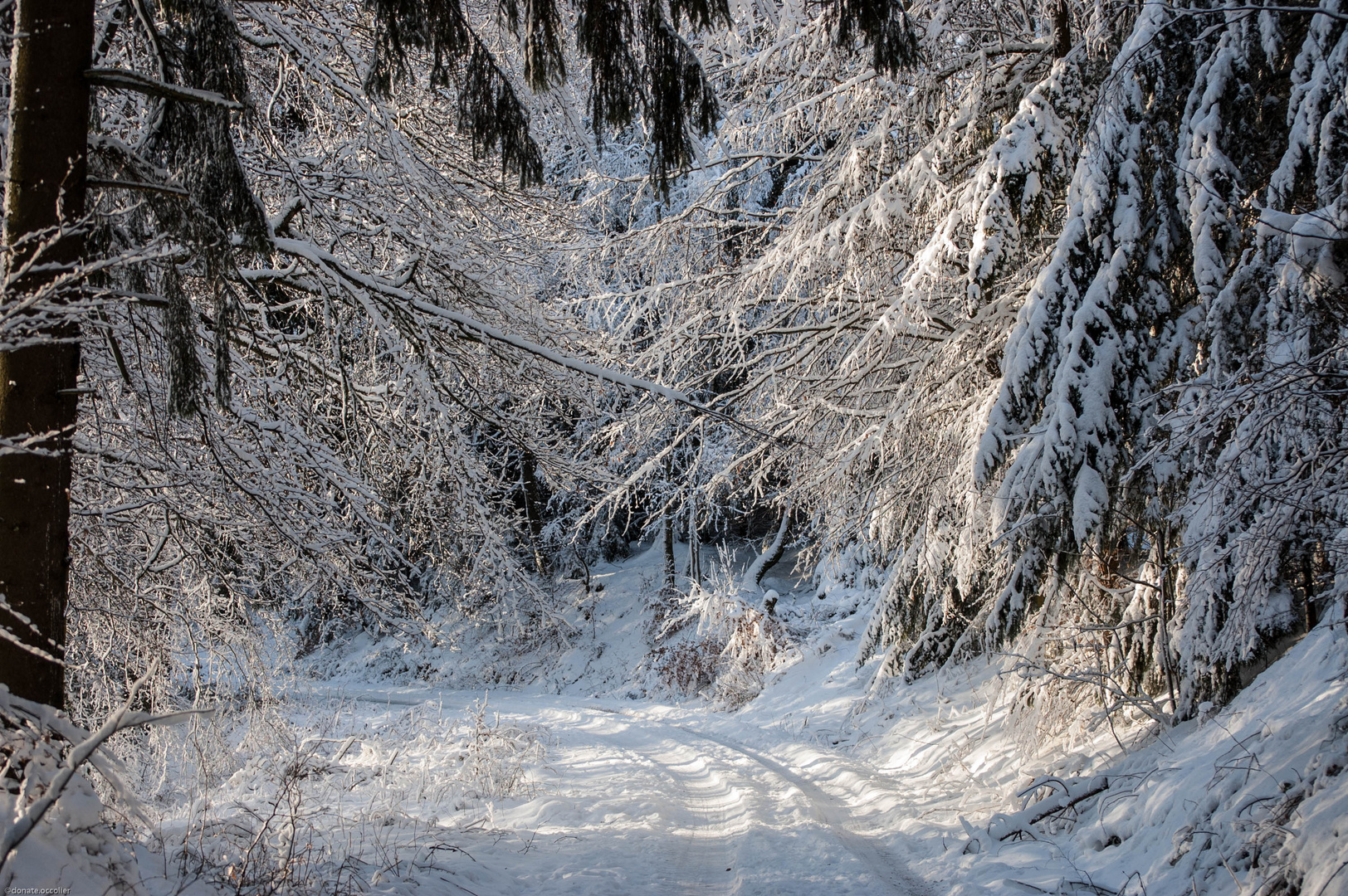 kleiner Spaziergang