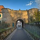 Kleiner Spaziergang ans Alzeyer Schloss