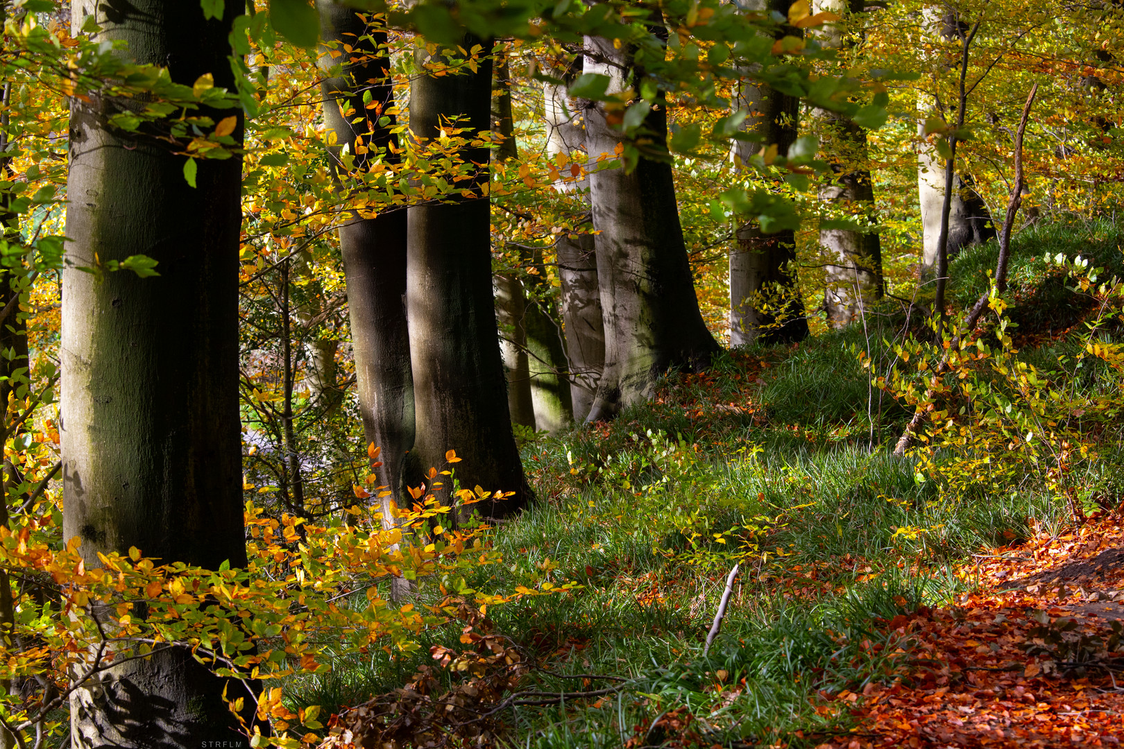 kleiner Spaziergang