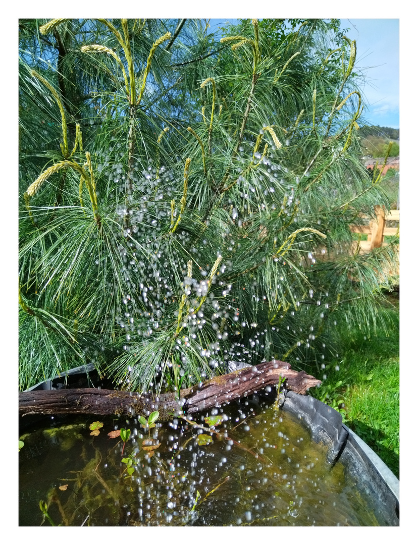 Kleiner Springbrunnen ....... 