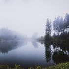 Kleiner Stausee bei Hahnenklee