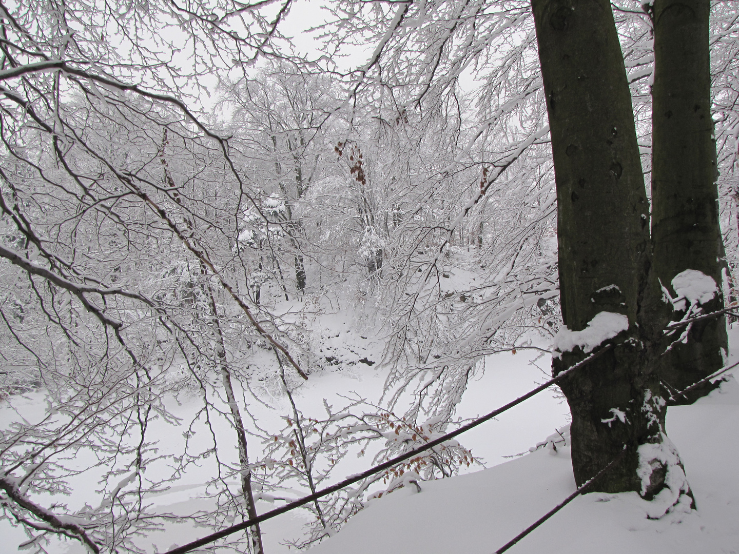 Kleiner Steinbruch im Winter