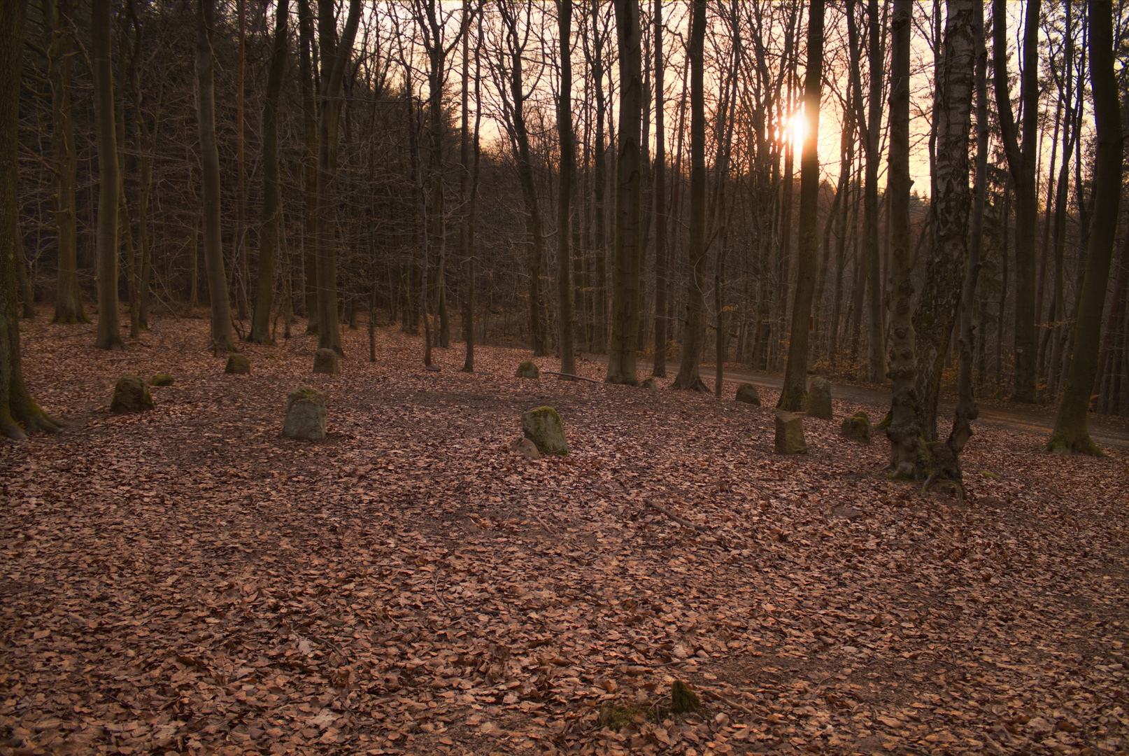 Kleiner Steinkreis bei Wattenheim / Pfalz - Sonnenuntergang