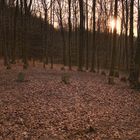 Kleiner Steinkreis bei Wattenheim / Pfalz - Sonnenuntergang