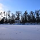 Kleiner Tannenwald im schönen Bad Homburg