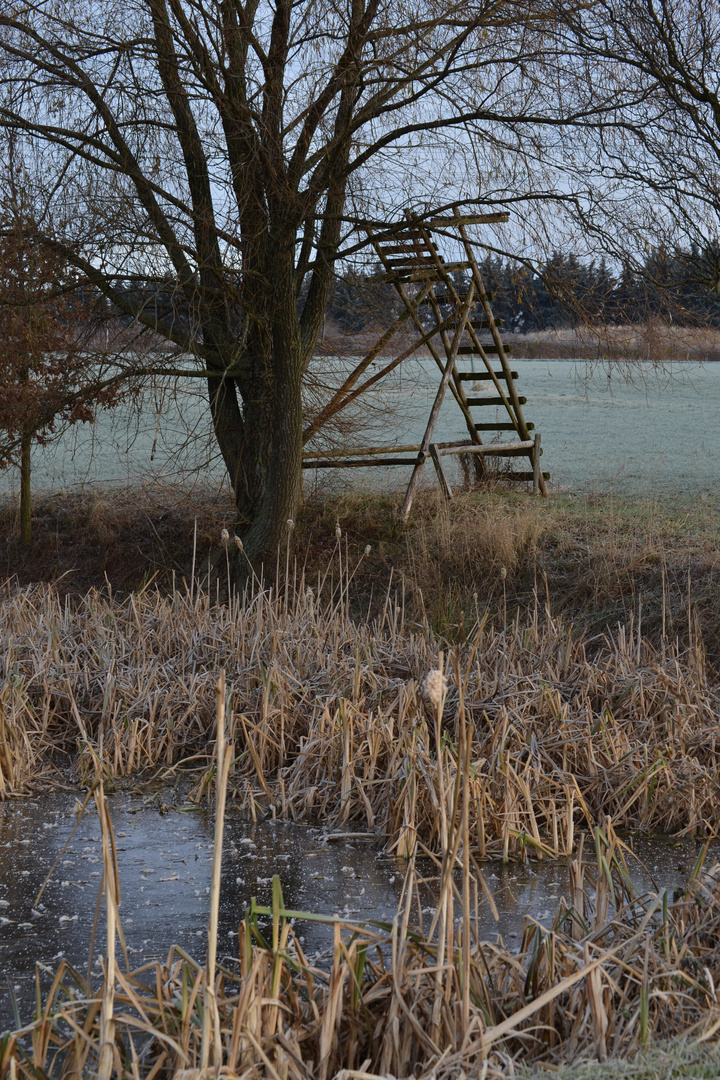 Kleiner Teich