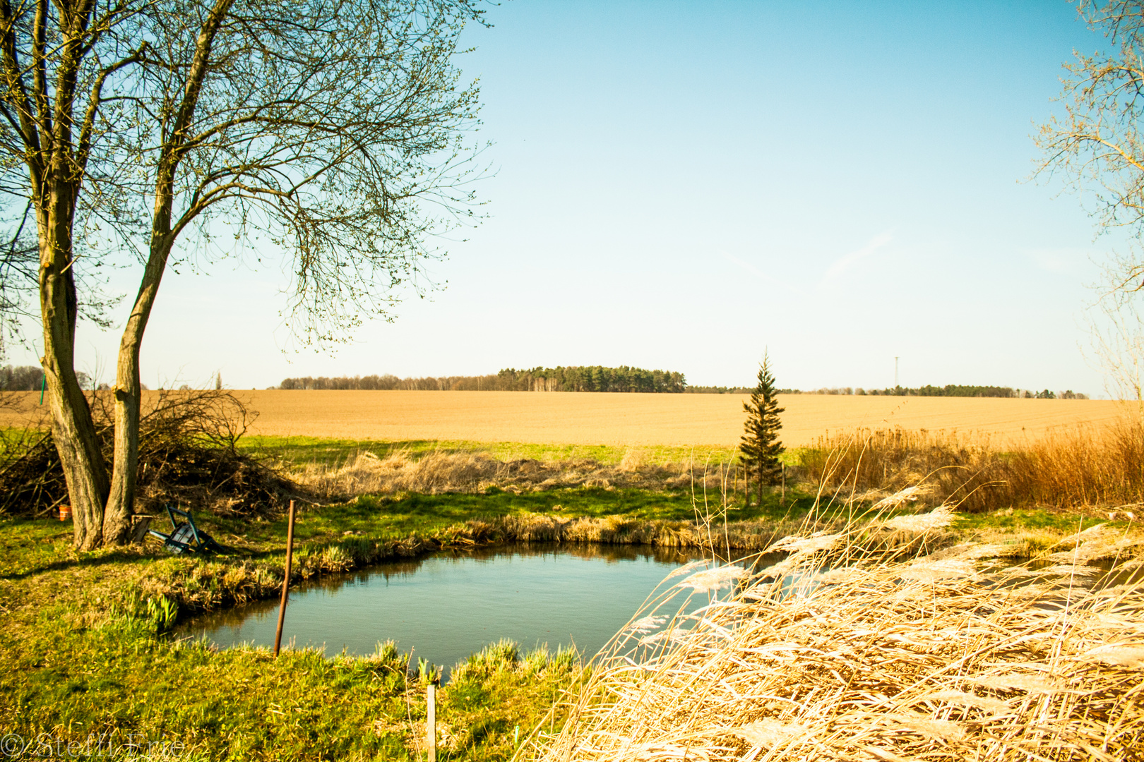 kleiner Teich Foto &amp; Bild landschaft, bach, fluss &amp; see