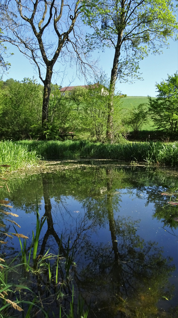 Kleiner Teich