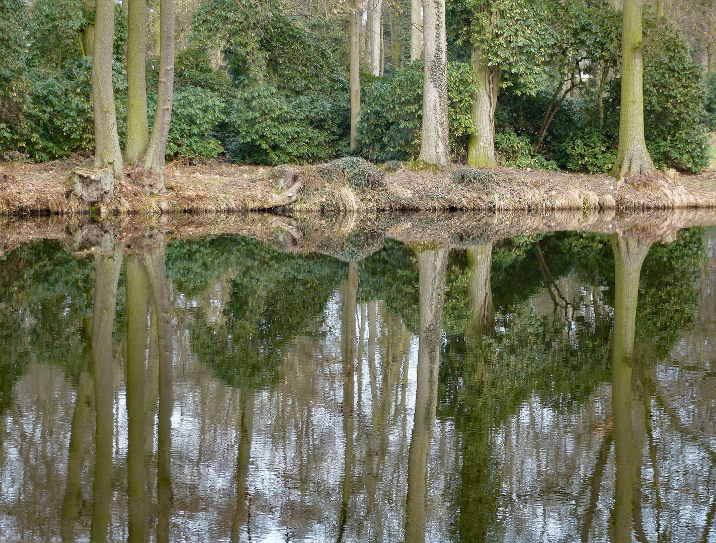 Kleiner Teich als Spiegel