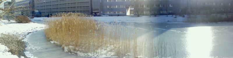 kleiner Teich am Campus 21