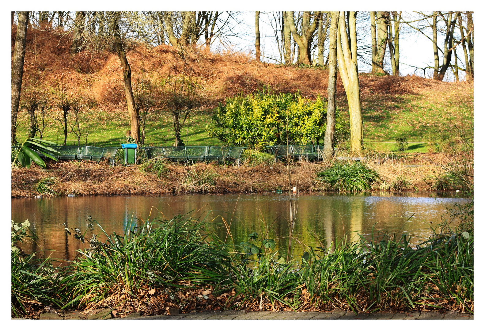 Kleiner Teich am Klinikum Aachen