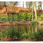 Kleiner Teich am Klinikum Aachen