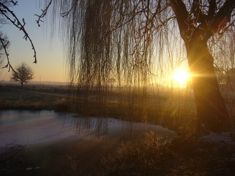 Kleiner Teich