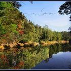 Kleiner teich bei Gommern