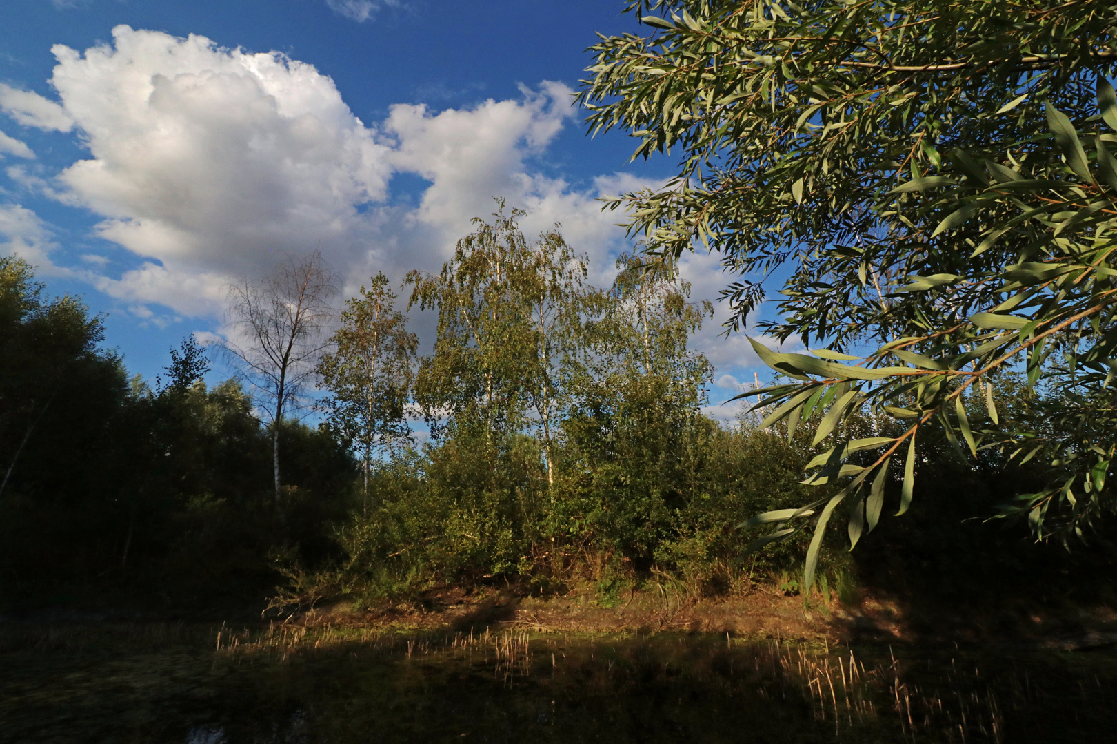 Kleiner Teich beim Borwall