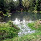 Kleiner Teich