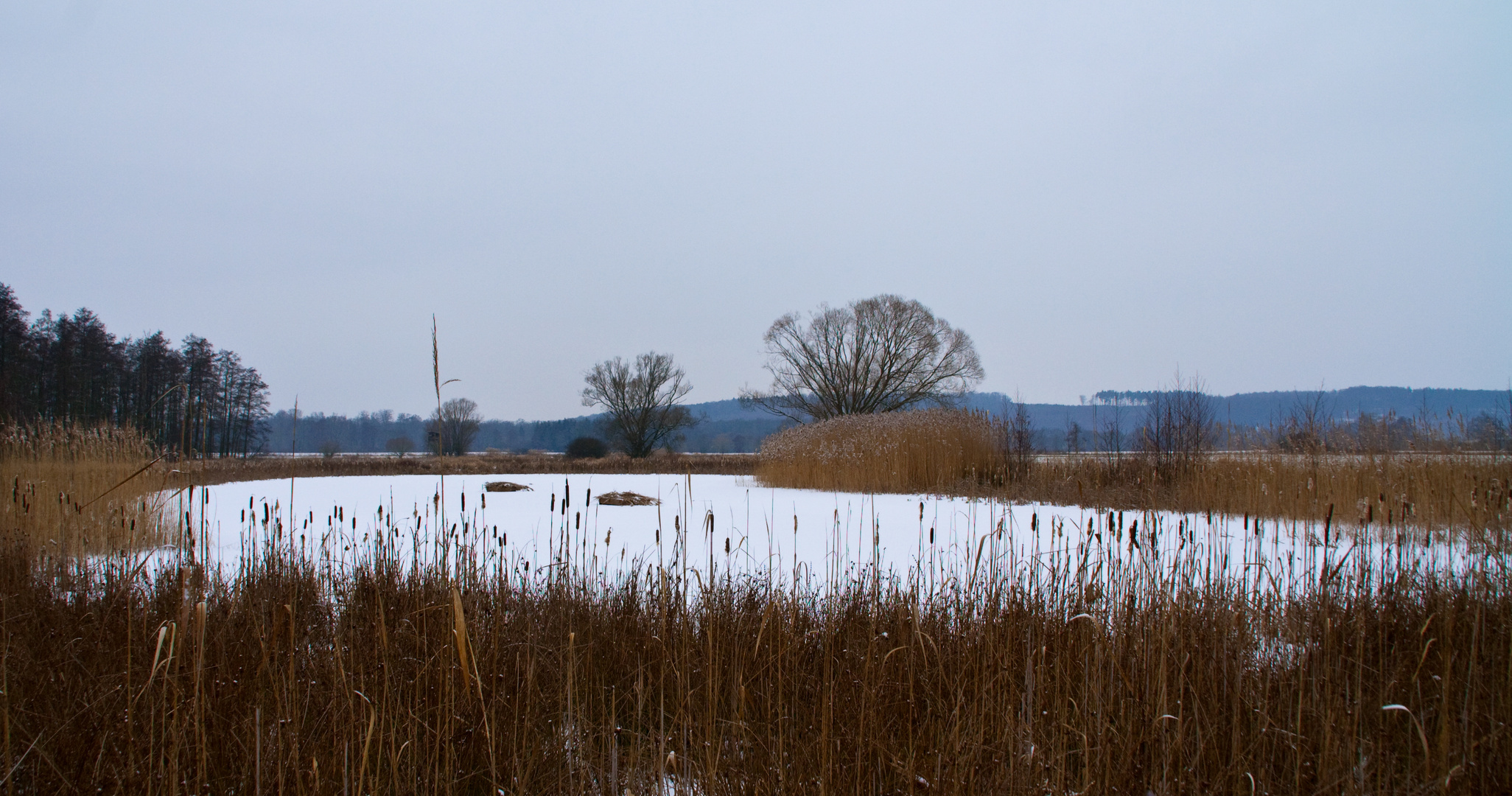 Kleiner Teich