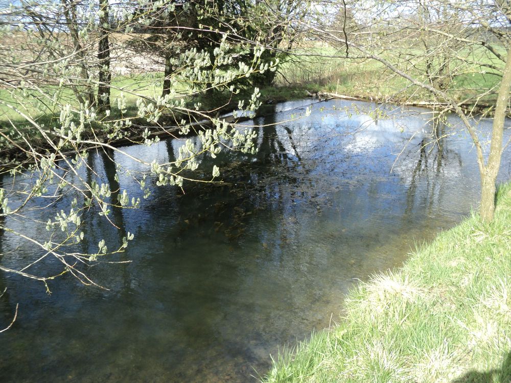 Kleiner Teich I