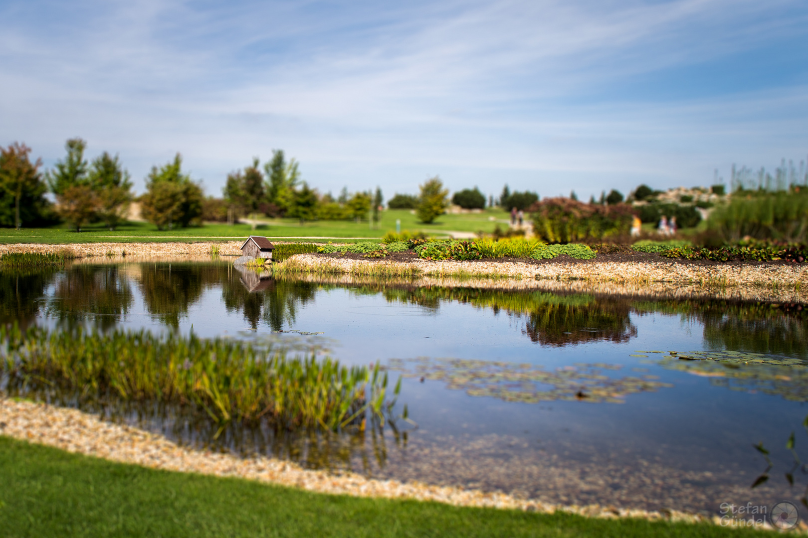 ...kleiner Teich im Findlingspark Nochten...