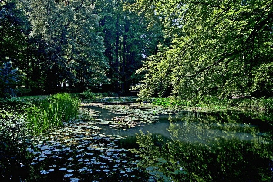 Kleiner Teich im Grünen