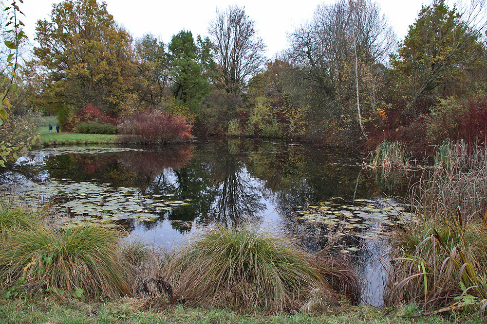 kleiner Teich im herbstlichen Ambiente