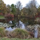 kleiner Teich im herbstlichen Ambiente