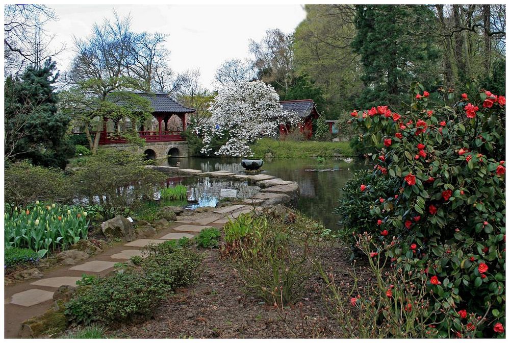 kleiner Teich im japanischen Garten in Leverkusen Foto