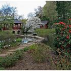 kleiner Teich im japanischen Garten in Leverkusen