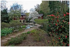 kleiner Teich im japanischen Garten in Leverkusen